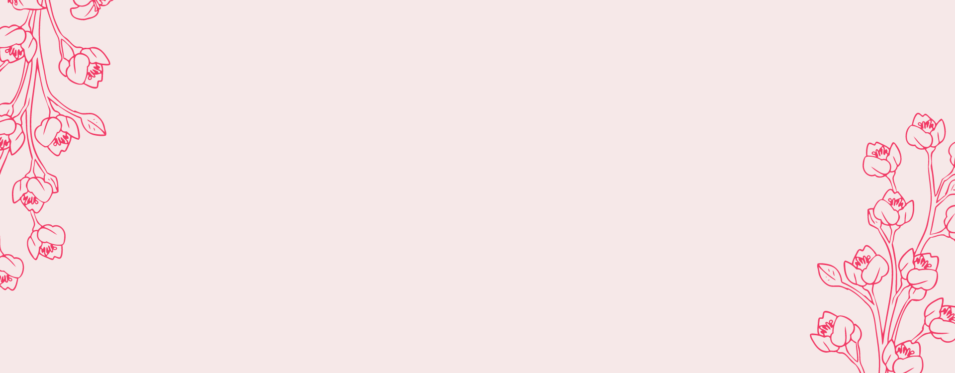 スタジオ ノベルノート